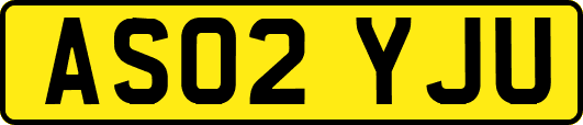 AS02YJU