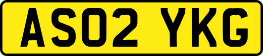 AS02YKG