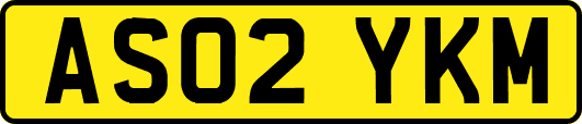 AS02YKM