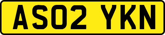 AS02YKN