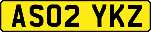 AS02YKZ