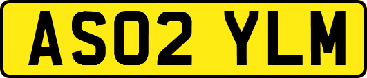 AS02YLM
