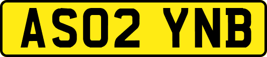 AS02YNB
