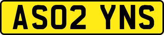 AS02YNS