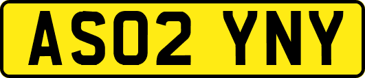 AS02YNY