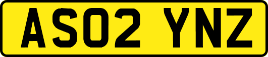 AS02YNZ