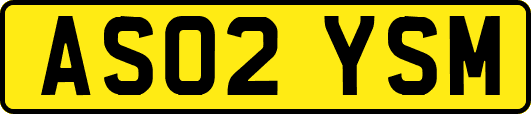 AS02YSM