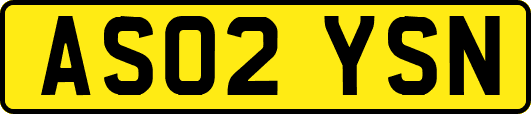 AS02YSN