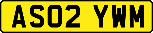 AS02YWM