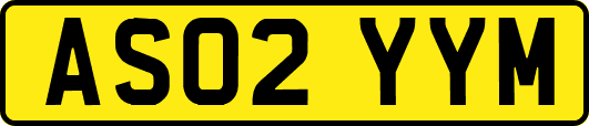 AS02YYM