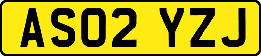 AS02YZJ