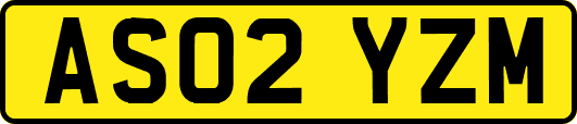 AS02YZM