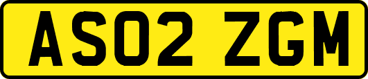 AS02ZGM