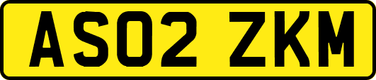 AS02ZKM