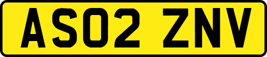 AS02ZNV