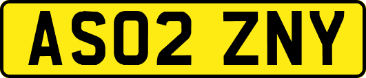 AS02ZNY