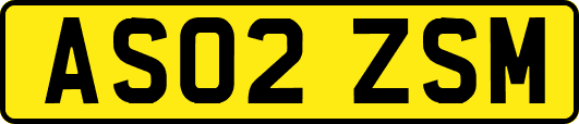 AS02ZSM