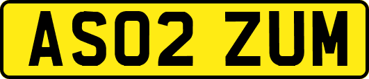 AS02ZUM