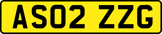 AS02ZZG