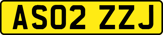 AS02ZZJ