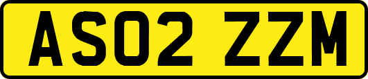 AS02ZZM