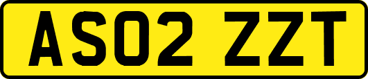AS02ZZT