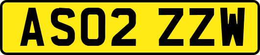AS02ZZW