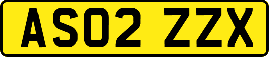 AS02ZZX