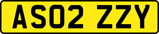 AS02ZZY