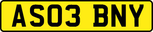 AS03BNY