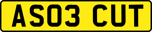 AS03CUT