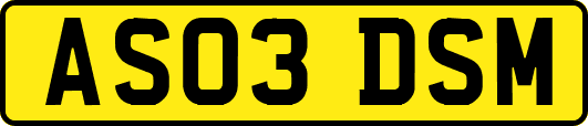 AS03DSM