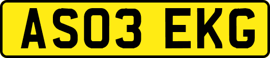 AS03EKG