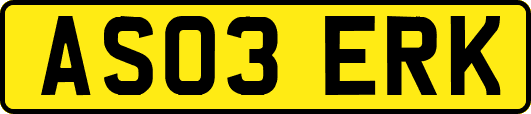 AS03ERK