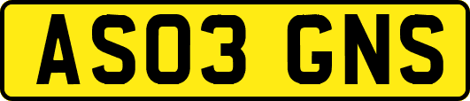 AS03GNS