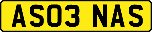 AS03NAS