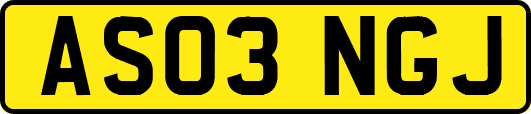 AS03NGJ