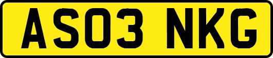 AS03NKG