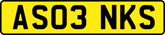 AS03NKS