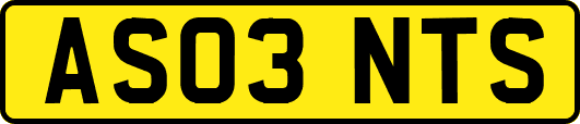 AS03NTS