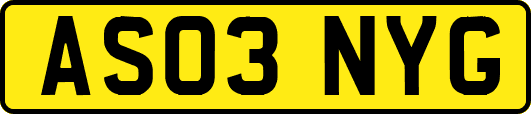 AS03NYG