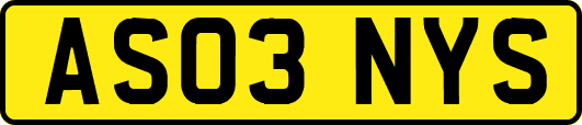 AS03NYS
