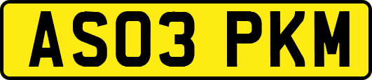 AS03PKM