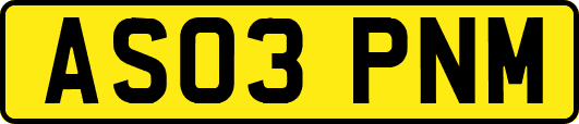 AS03PNM