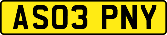 AS03PNY