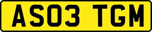 AS03TGM