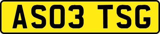 AS03TSG