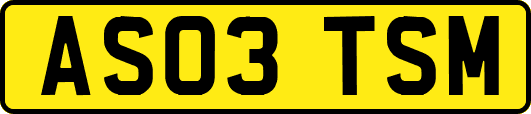AS03TSM