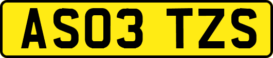 AS03TZS