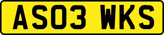 AS03WKS
